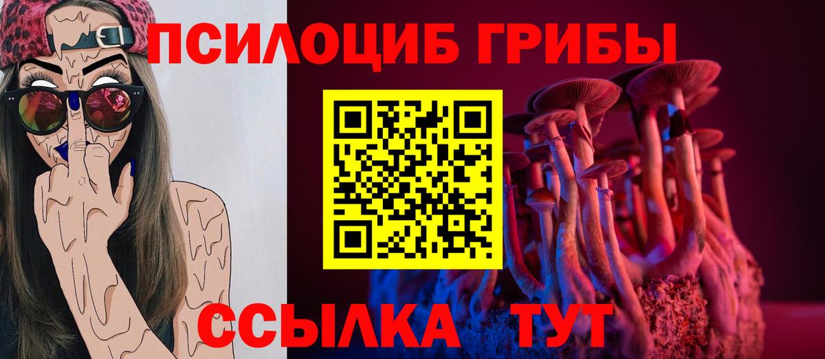 Псилоцибиновые грибы мухоморы  Вход с VPN  Кольчугино 