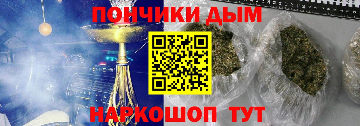 Канабис SATIVA & INDICA Кольчугино